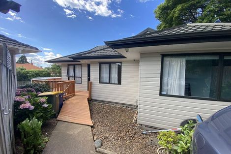 Photo of property in 43 Blease Street, New Lynn, Auckland, 0600