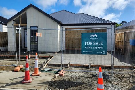 Photo of property in 47 Henshaw Street, Woodend, 7610