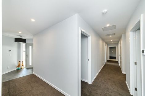 Photo of property in 163a Denbigh Street, Feilding, 4702