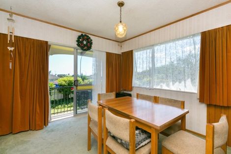 Photo of property in 20 Leon Place, Waitara, 4320