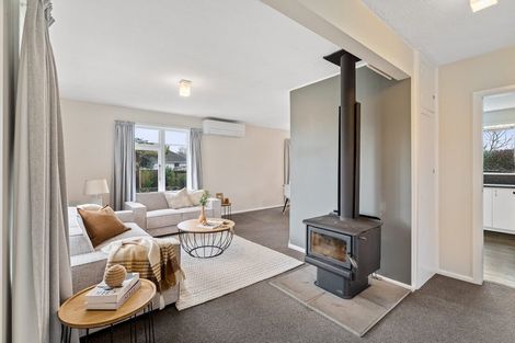 Photo of property in 133 Buchanans Road, Hei Hei, Christchurch, 8042