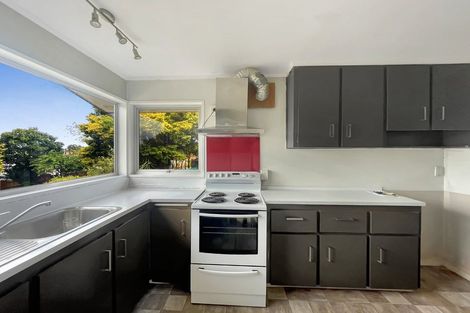 Photo of property in 47 Aurora Terrace, Hillcrest, Hamilton, 3216