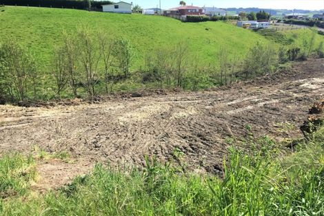 Photo of property in 46 Lewin Street, Balclutha, 9230