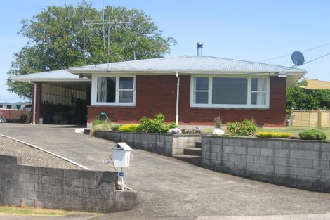 Photo of property in 14 Ormsby Crescent, Otorohanga, 3900