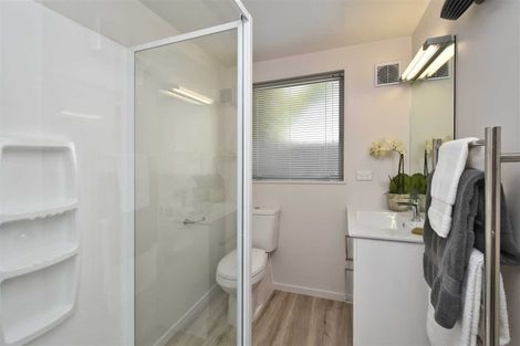 Photo of property in 8/153 Hastings Street East, Waltham, Christchurch, 8023