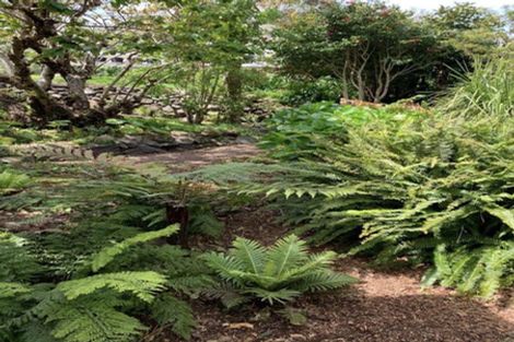 Photo of property in 46 Wellington Road, Paekakariki, 5034