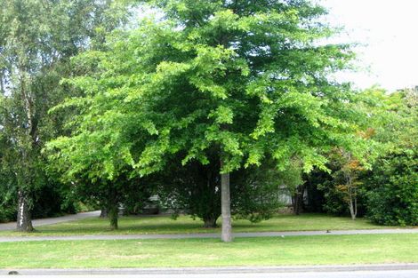 Photo of property in 101 Halswell Road, Hillmorton, Christchurch, 8025