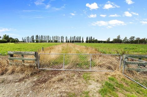 Photo of property in 279 Longbeach Road, Willowby, Ashburton, 7773