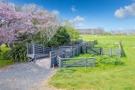 Photo of property in 256 Kaipaki Road, Ohaupo, 3881
