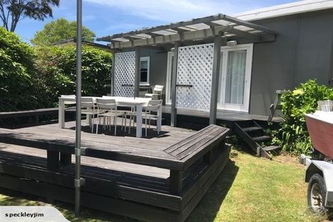 Photo of property in 131 Arapera Road, Hatepe, Turangi, 3382