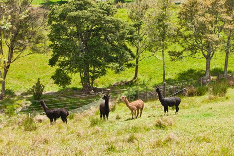 Photo of property in 172 Old Parua Bay Road, Abbey Caves, Whangarei, 0175