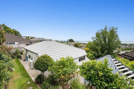 Photo of property in 7 Cresswell Place, Richmond, 7020