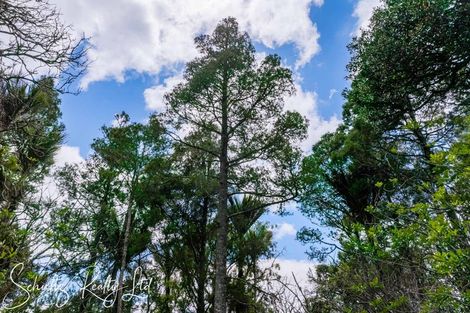 Photo of property in 16 Nikau Lane, Maungaturoto, 0520