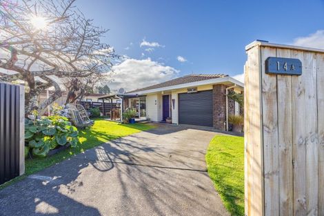 Photo of property in 14a Ruataniwha Street, Waipawa, 4210