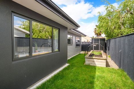 Photo of property in 14a Colombo Street, Hokowhitu, Palmerston North, 4410