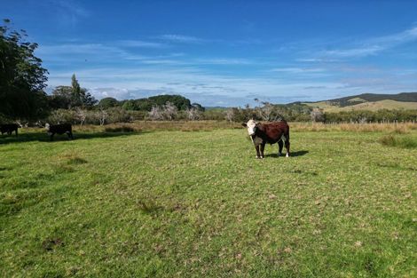 Photo of property in 215 Kempthorne Road, Russell, 0272