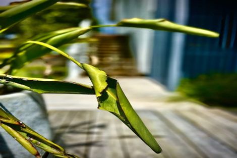 Photo of property in 21 Tindalls Bay Road, Tindalls Beach, Whangaparaoa, 0930