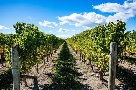 Photo of property in 5 Brook Street, Renwick, 7204