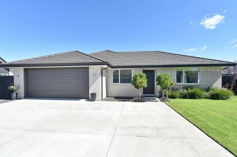 Photo of property in 46 Karere Avenue, Marshland, Christchurch, 8083
