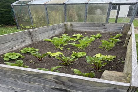 Photo of property in 69 Balaclava Street, Wyndham, 9831