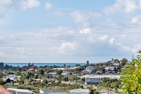 Photo of property in 41 Albatross Road, Red Beach, 0932