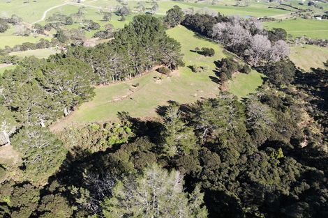 Photo of property in 132b Gatfield Road, Kaukapakapa, 0873