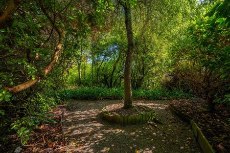 Photo of property in 50 Kalaugher Road, Geraldine Downs, Geraldine, 7991