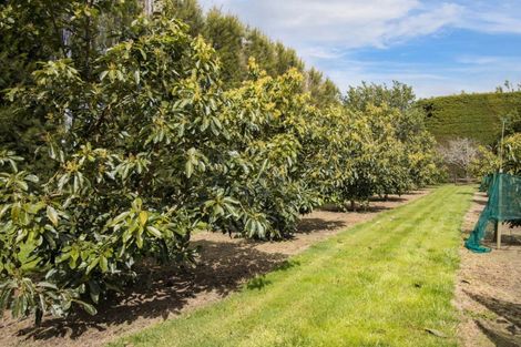 Photo of property in 19 Henry Road, Katikati, 3129