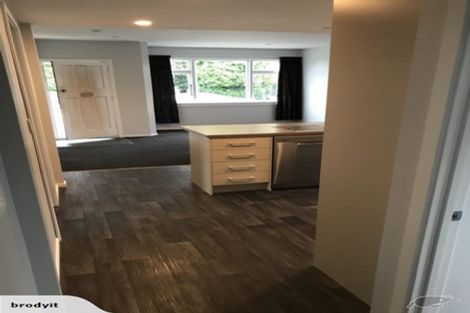 Photo of property in 34 Scott Street, Sydenham, Christchurch, 8023