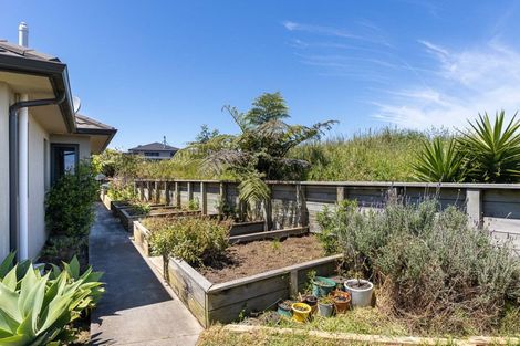 Photo of property in 41 Karamea Street, Whalers Gate, New Plymouth, 4310