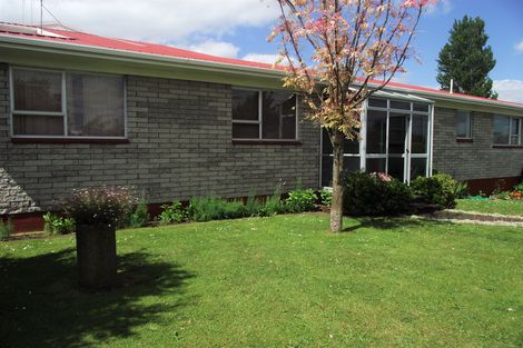 Photo of property in 31 Wrigley Street, Waihi, 3610
