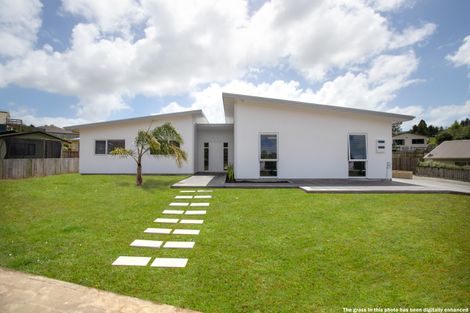 Photo of property in 31 Hartis Avenue, Huntly, 3700