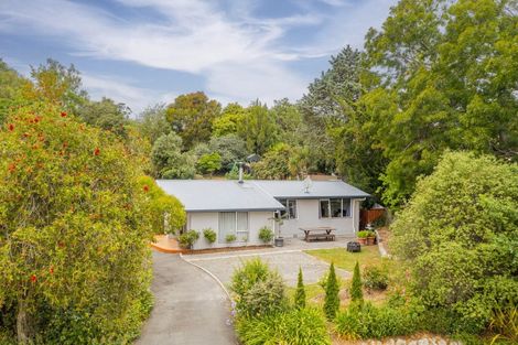 Photo of property in 128 Mount Herbert Road, Waipukurau, 4200