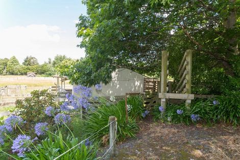 Photo of property in 109 Cole Street, Dannevirke, 4930