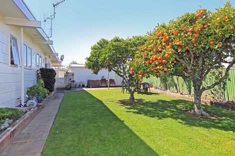 Photo of property in 3 Laurent Place, Greenmeadows, Napier, 4112