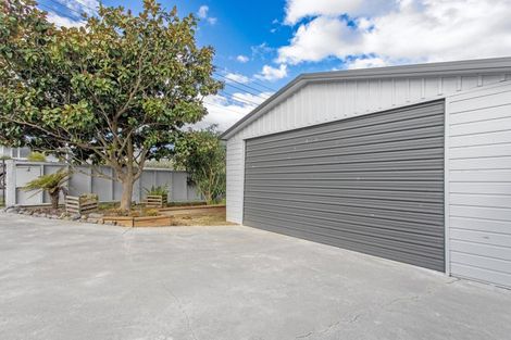 Photo of property in 20 Eagle Street, Waipawa, 4210