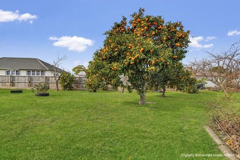 Photo of property in 730 Ngaio Street, Mahora, Hastings, 4120