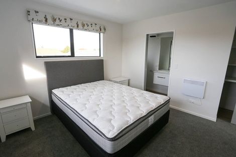 Photo of property in 29 Euston Street, Riccarton, Christchurch, 8041