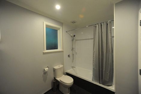 Photo of property in 149 The Ridgeway, Mornington, Wellington, 6021