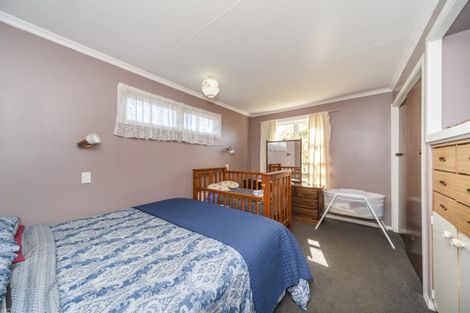 Photo of property in 9 Summerhays Street, Terrace End, Palmerston North, 4410