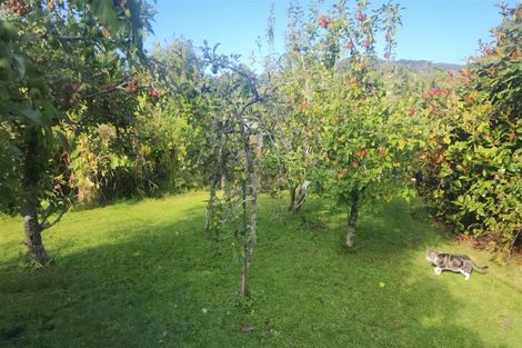 Photo of property in 2 Mcgowan Street, Runanga, 7803