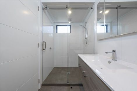 Photo of property in 18 Selkirk Street, Roslyn, Dunedin, 9010