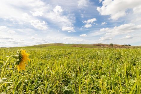 Photo of property in 376 Clark And Denize Road, Pukekawa, 2696