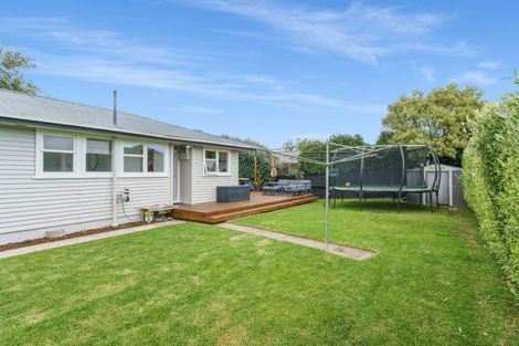 Photo of property in 26 Bongard Street, Gate Pa, Tauranga, 3112