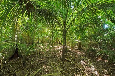 Photo of property in 15 Catley Road, Te Horo, Otaki, 5582