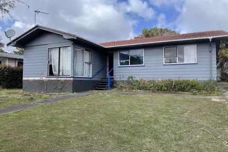 Photo of property in 41 Larissa Avenue, Henderson, Auckland, 0610