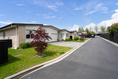 Photo of property in 7 Manuka Place, Cambridge, 3434