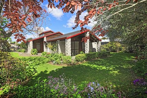 Photo of property in 6 Palmer Place, Parkvale, Hastings, 4122