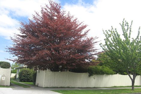 Photo of property in 7 Monro Street, Blenheim, 7201