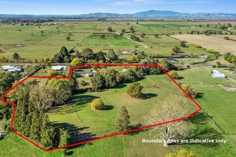 Photo of property in 66 Mill Road, Ohaupo, 3881